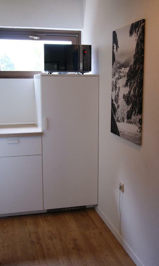 Ferienwohnung Schwarzwaldlust Schluchsee Ngoại thất bức ảnh
