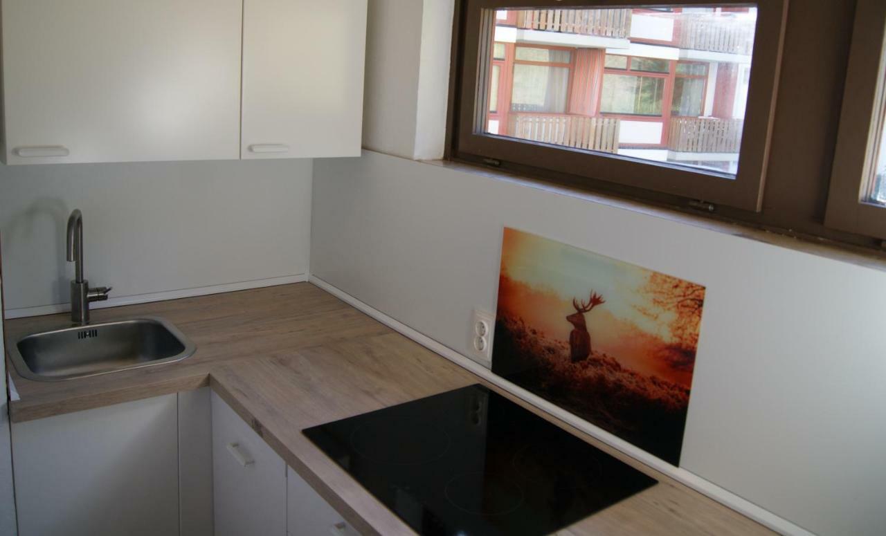 Ferienwohnung Schwarzwaldlust Schluchsee Ngoại thất bức ảnh